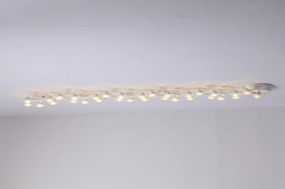 LED Net Ceiling-mounted light Ceiling Lamp