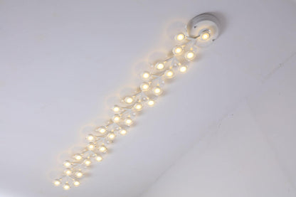 LED Net Ceiling-mounted light Ceiling Lamp