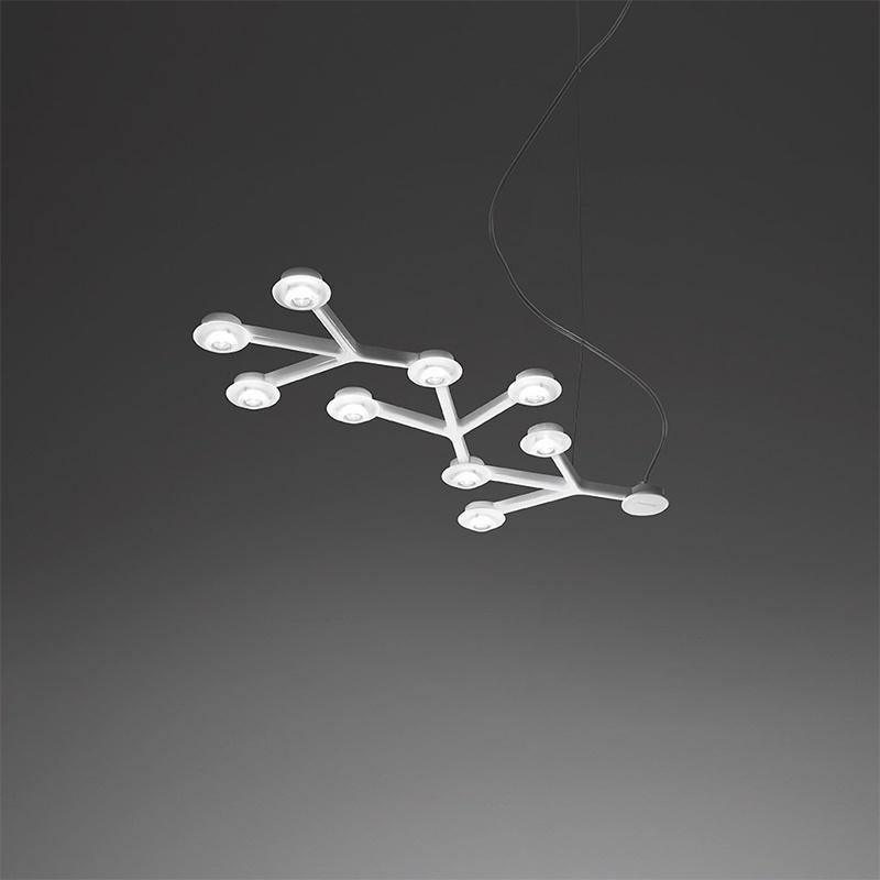 LED Net Ceiling-mounted light Ceiling Lamp