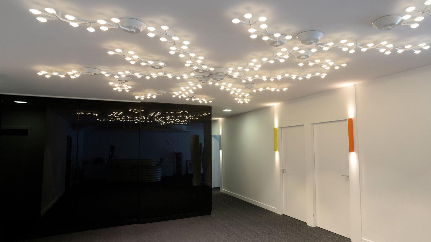 LED Net Ceiling-mounted light Ceiling Lamp