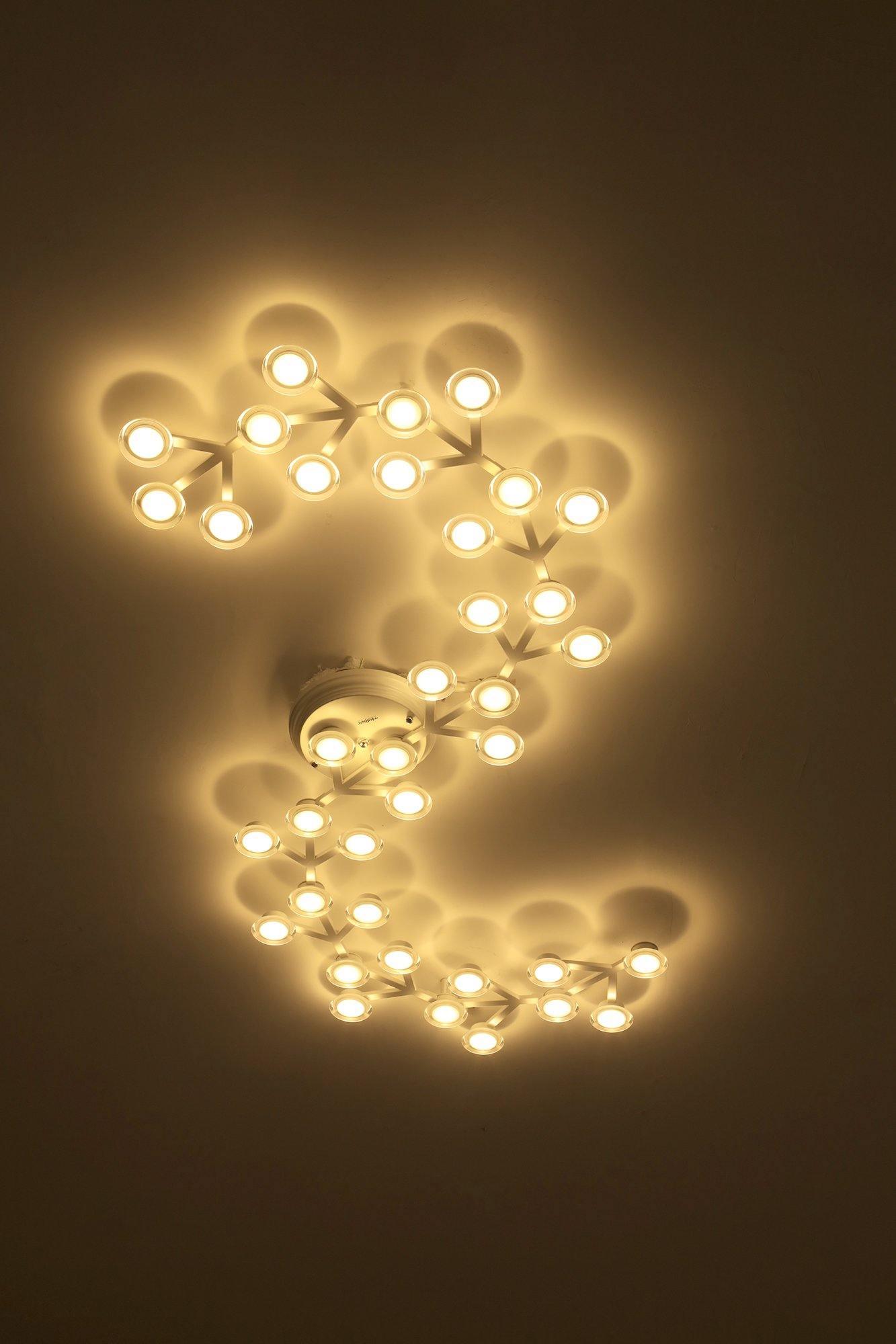 LED Net Ceiling-mounted light Ceiling Lamp