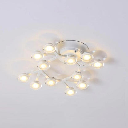 LED Net Ceiling-mounted light Ceiling Lamp