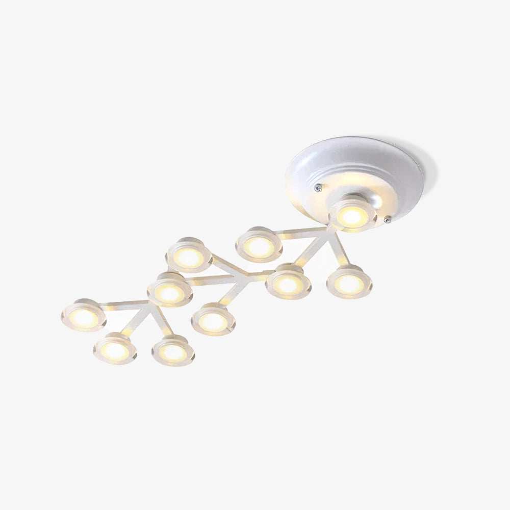 LED Net Ceiling-mounted light Ceiling Lamp