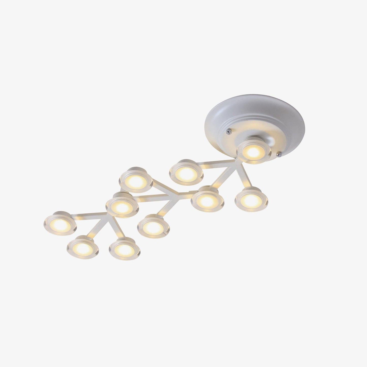 LED Net Ceiling-mounted light Ceiling Lamp