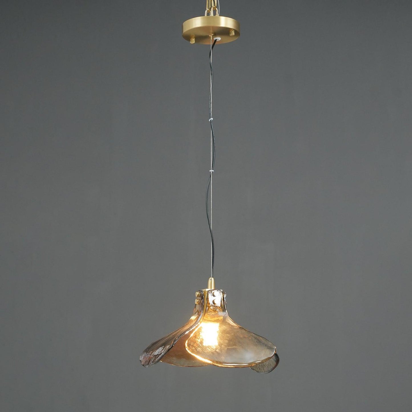 LS185 Hanging light Pendant Lamp