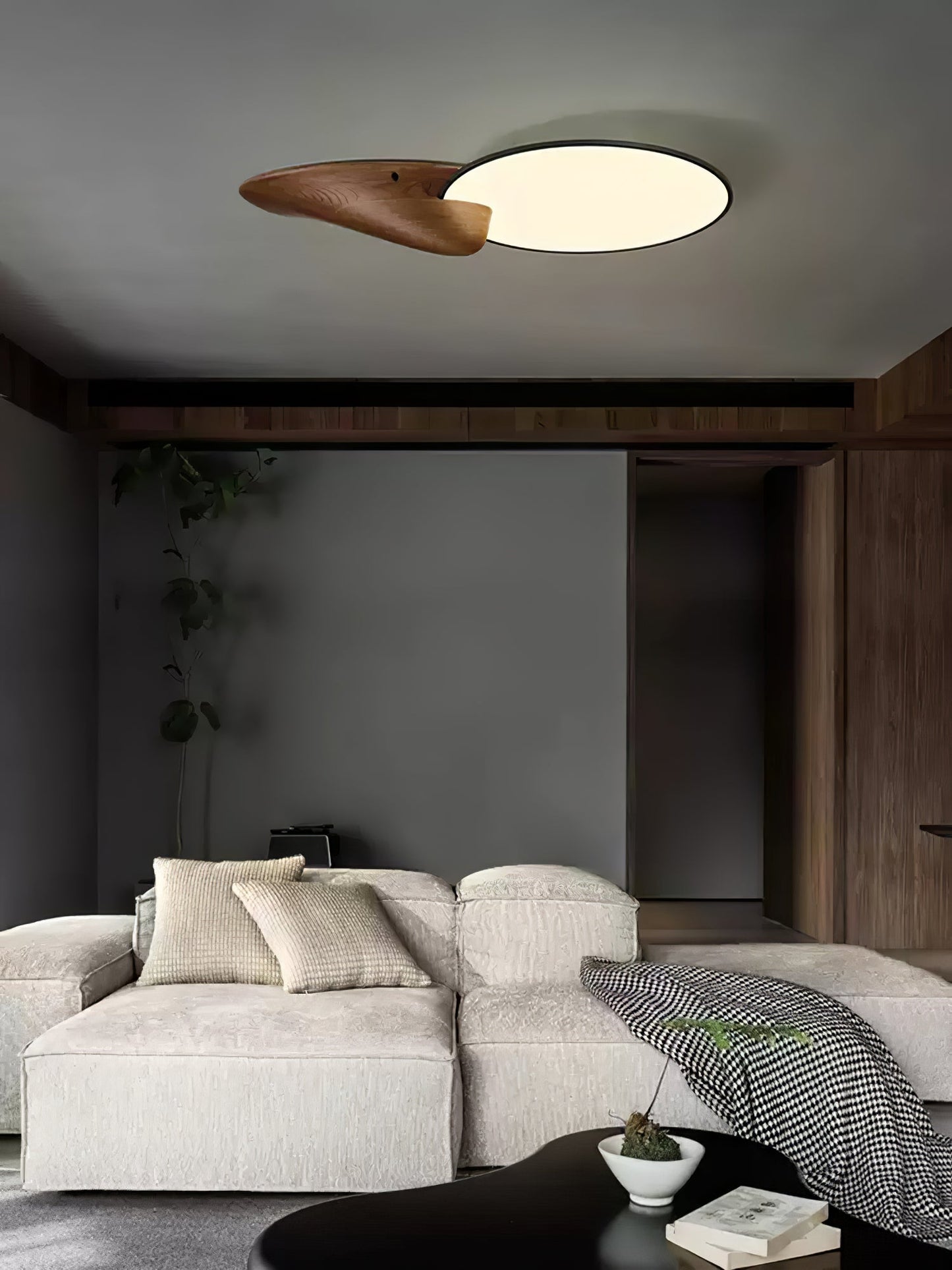 Lone Peak Ceiling-mounted light Ceiling Lamp