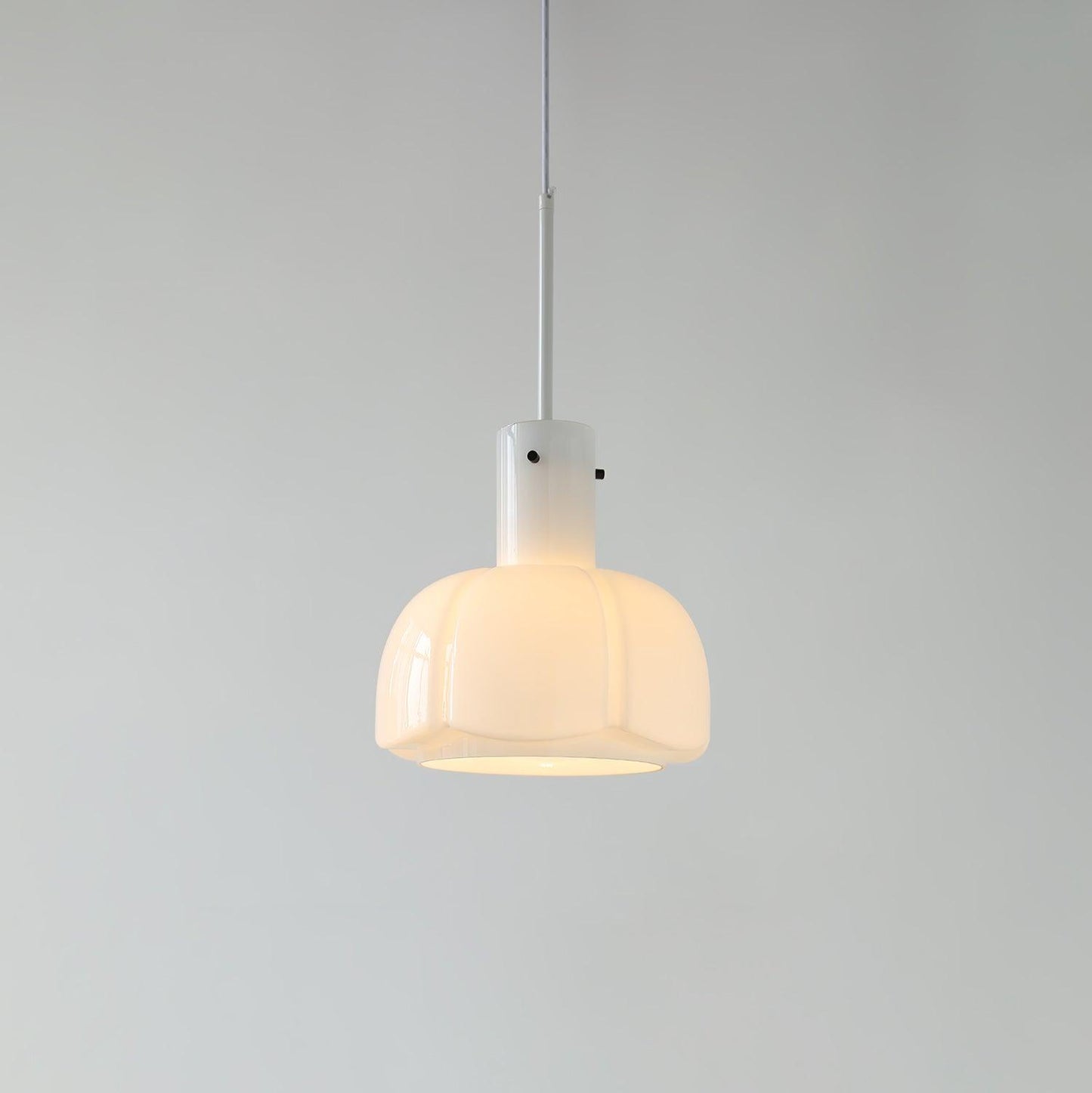 Lumina Petal Glass Houselight Pendant Light