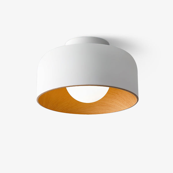 Lumosphere Overhead light Ceiling Light