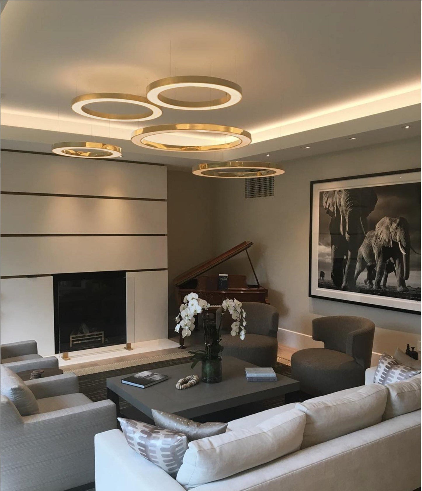 Ring LED Ceiling light fitting Pendant Light