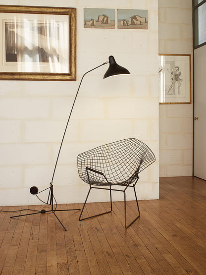 Mantis Arm Accent Lamp Floor Lamp