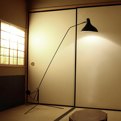 Mantis Arm Accent Lamp Floor Lamp