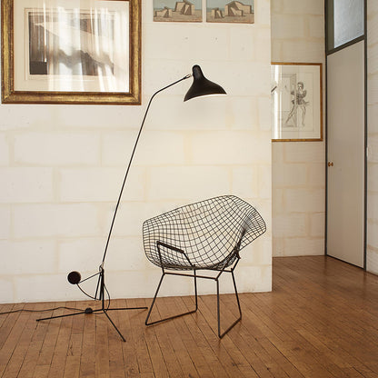 Mantis Arm Accent Lamp Floor Lamp