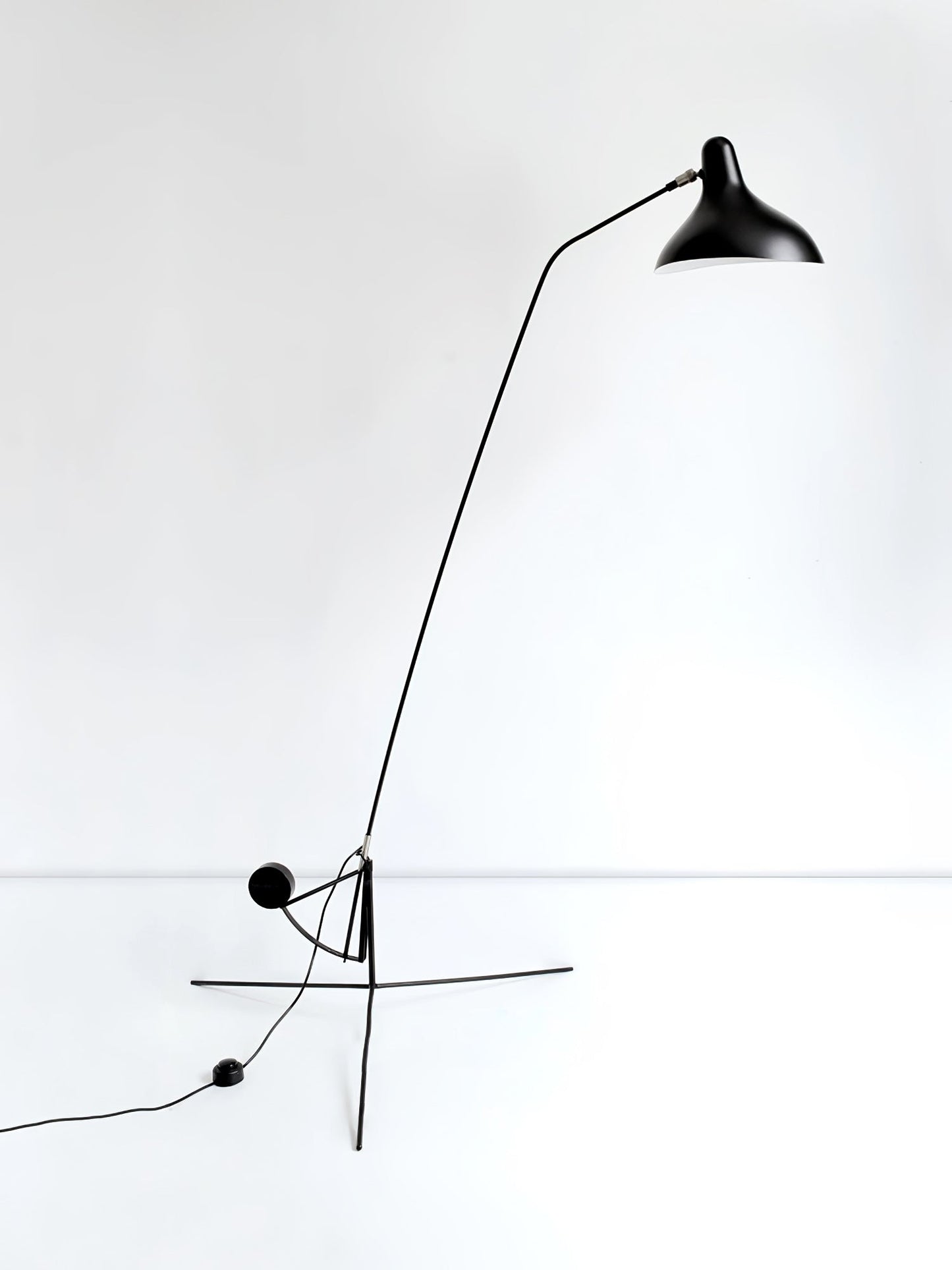 Mantis Arm Accent Lamp Floor Lamp