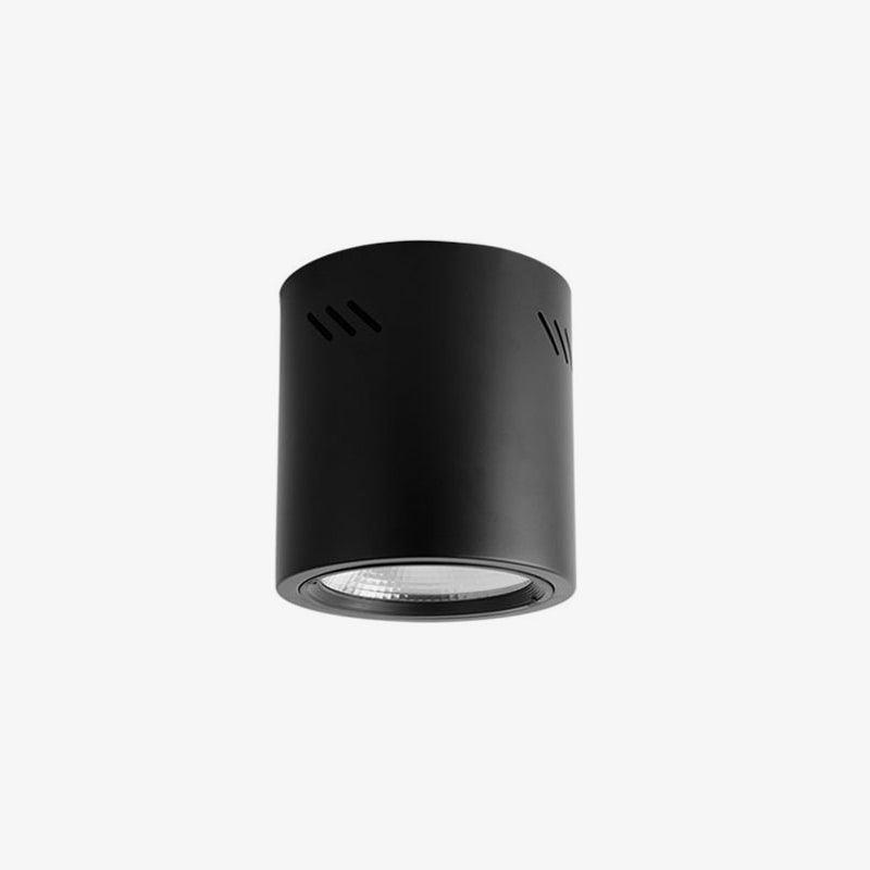 Maxi Rebel Overhead fixture Spotlight