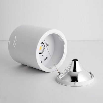 Maxi Rebel Overhead fixture Spotlight