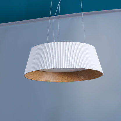 Modern Ribbed Droplight Pendant Light