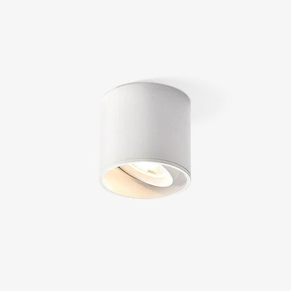 Modupoint Ceiling-mounted light Ceiling Light