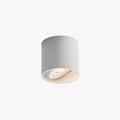 Modupoint Ceiling-mounted light Ceiling Light