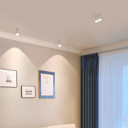 Modupoint Ceiling-mounted light Ceiling Light