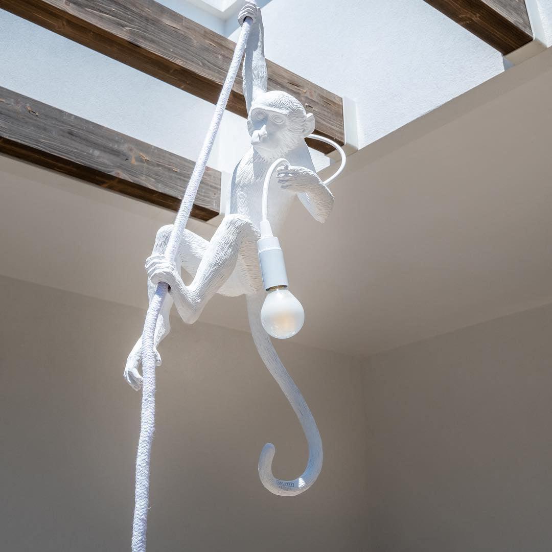 Monkey Houselight Pendant Lamp