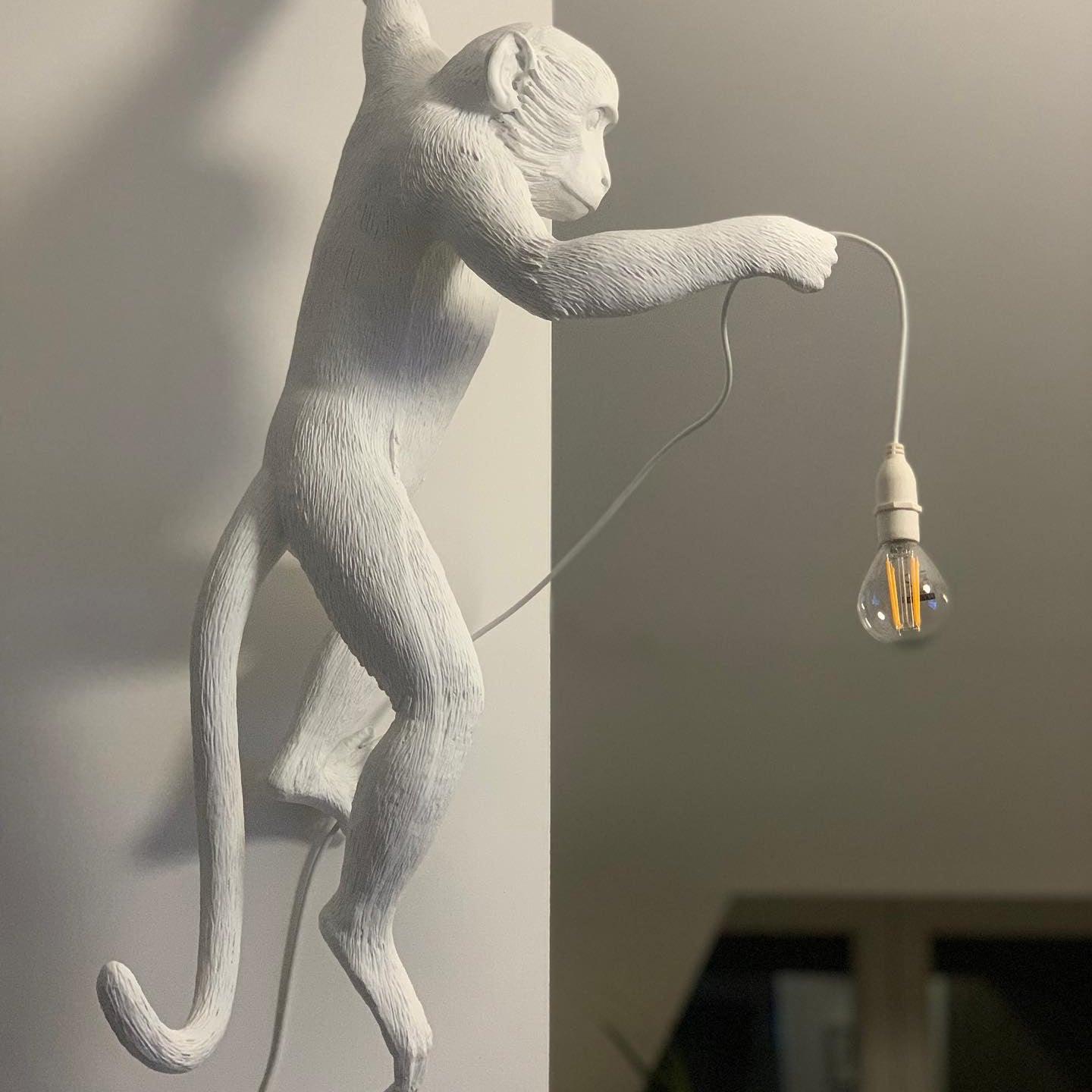 Monkey Wall-mounted lamp Wall Lamp