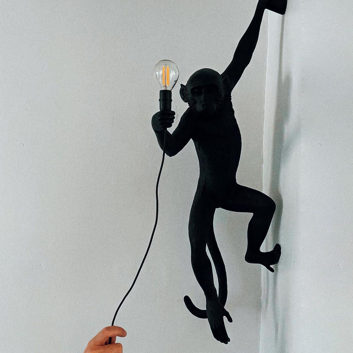 Monkey Wall-mounted lamp Wall Lamp