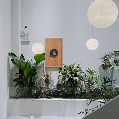 Moon Houselight Pendant Lamp