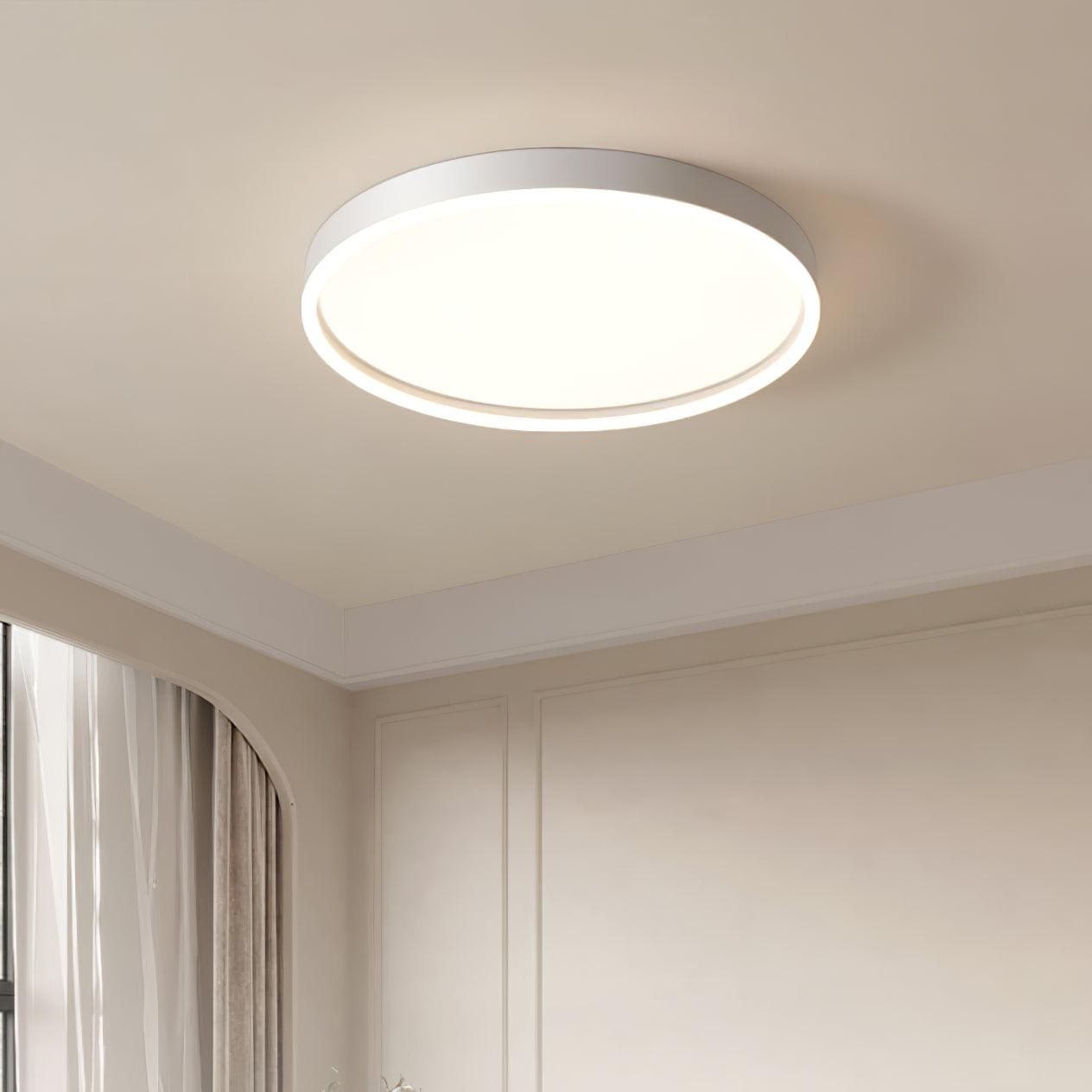 Naxos Overhead fixture Ceiling Light