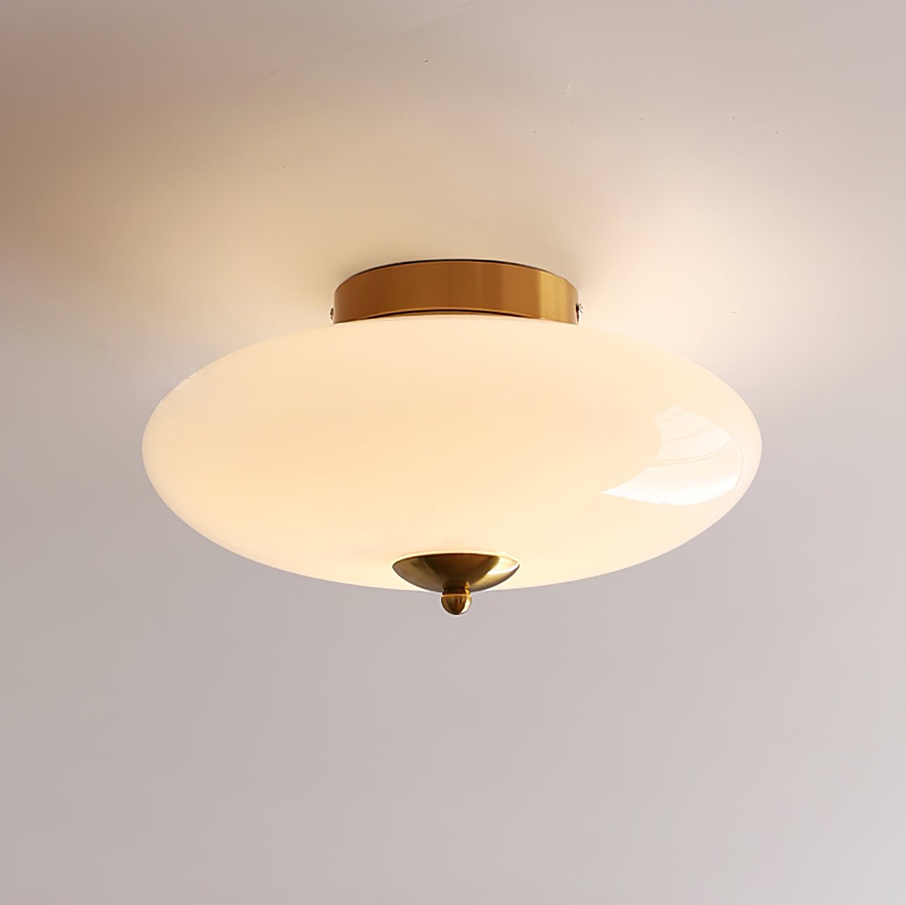 Opal Ceiling light Ceiling Lamp