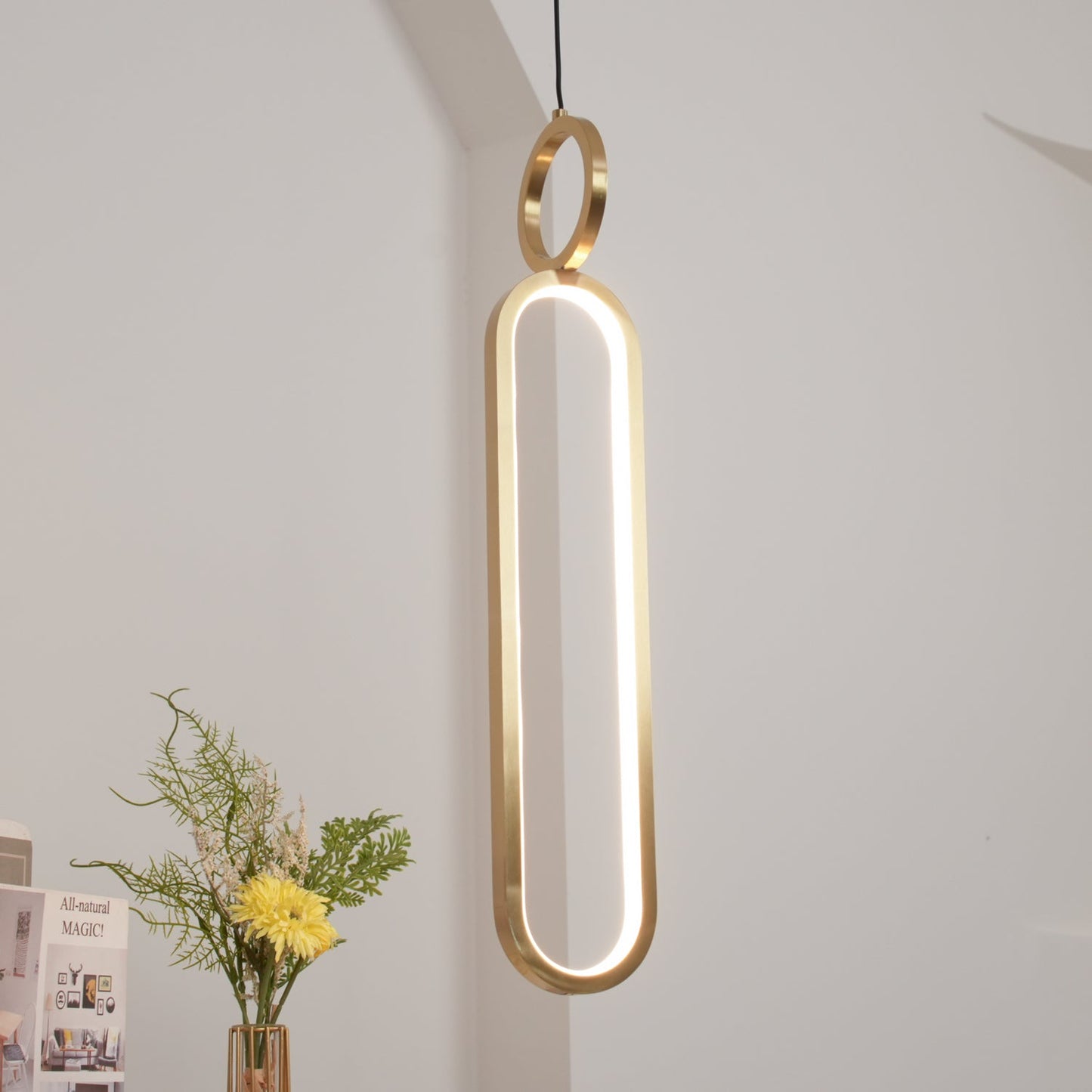 Oval Rings Ceiling light fitting Pendant Light