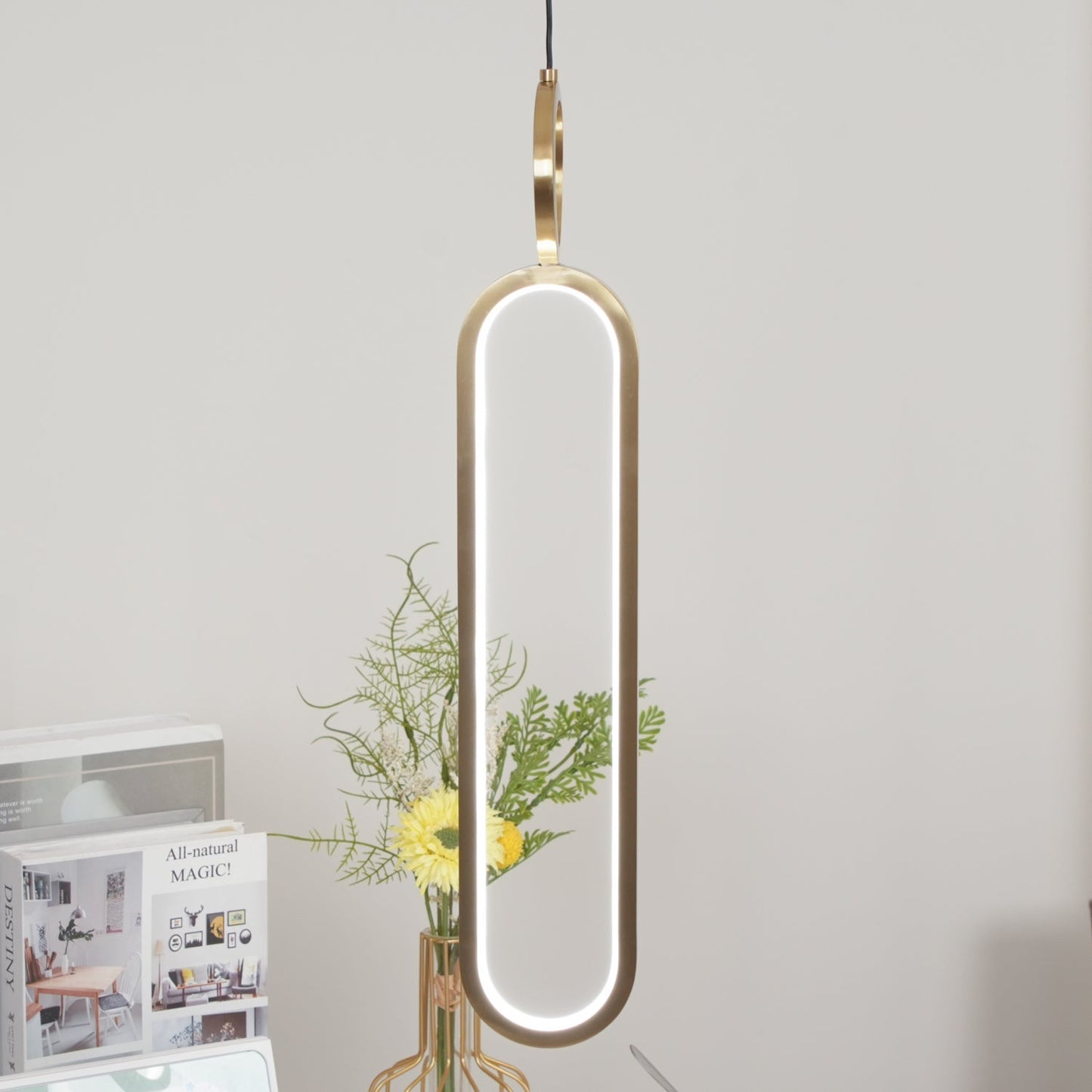 Oval Rings Ceiling light fitting Pendant Light