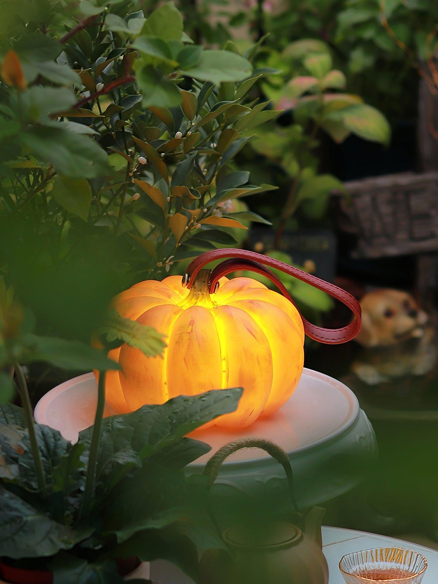 Portable Pumpkin Built-in Battery Desk lamp Table Lamp