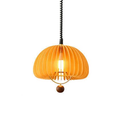 Pumpkin Adjustable Drop light Pendant Light