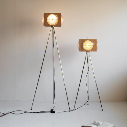 Retro Camera Focus Uplight Lamp Floor Lamp