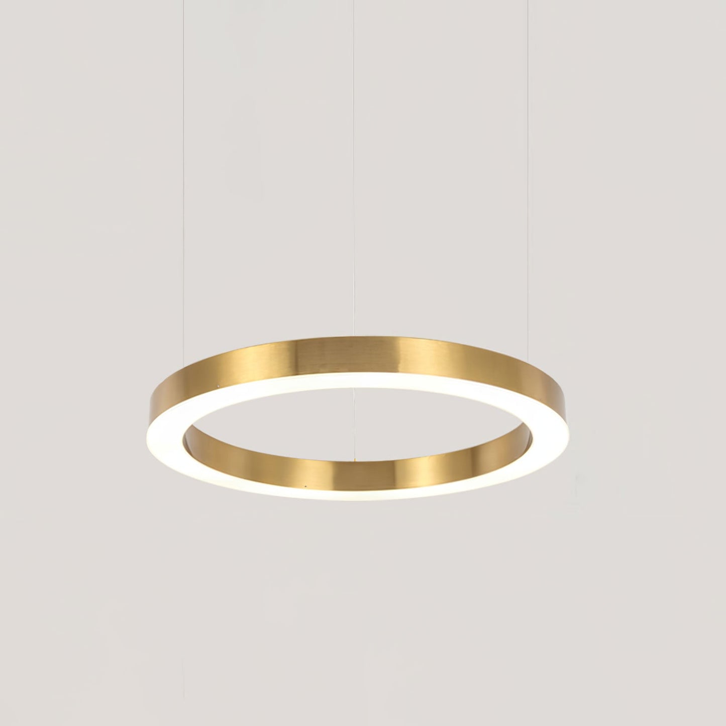 Ring LED Ceiling light fitting Pendant Light