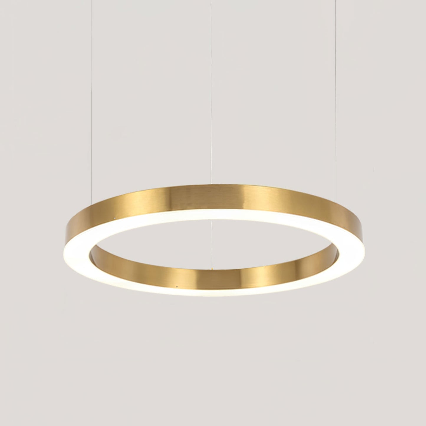 Ring LED Ceiling light fitting Pendant Light