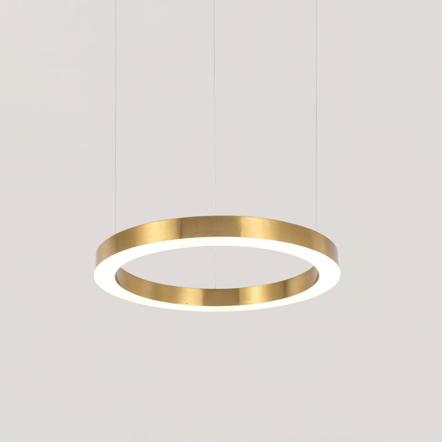 Ring LED Ceiling light fitting Pendant Light