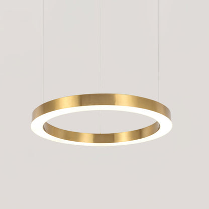 Ring LED Ceiling light fitting Pendant Light