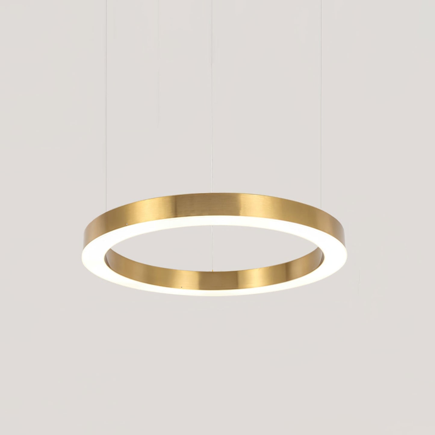 Ring LED Ceiling light fitting Pendant Light