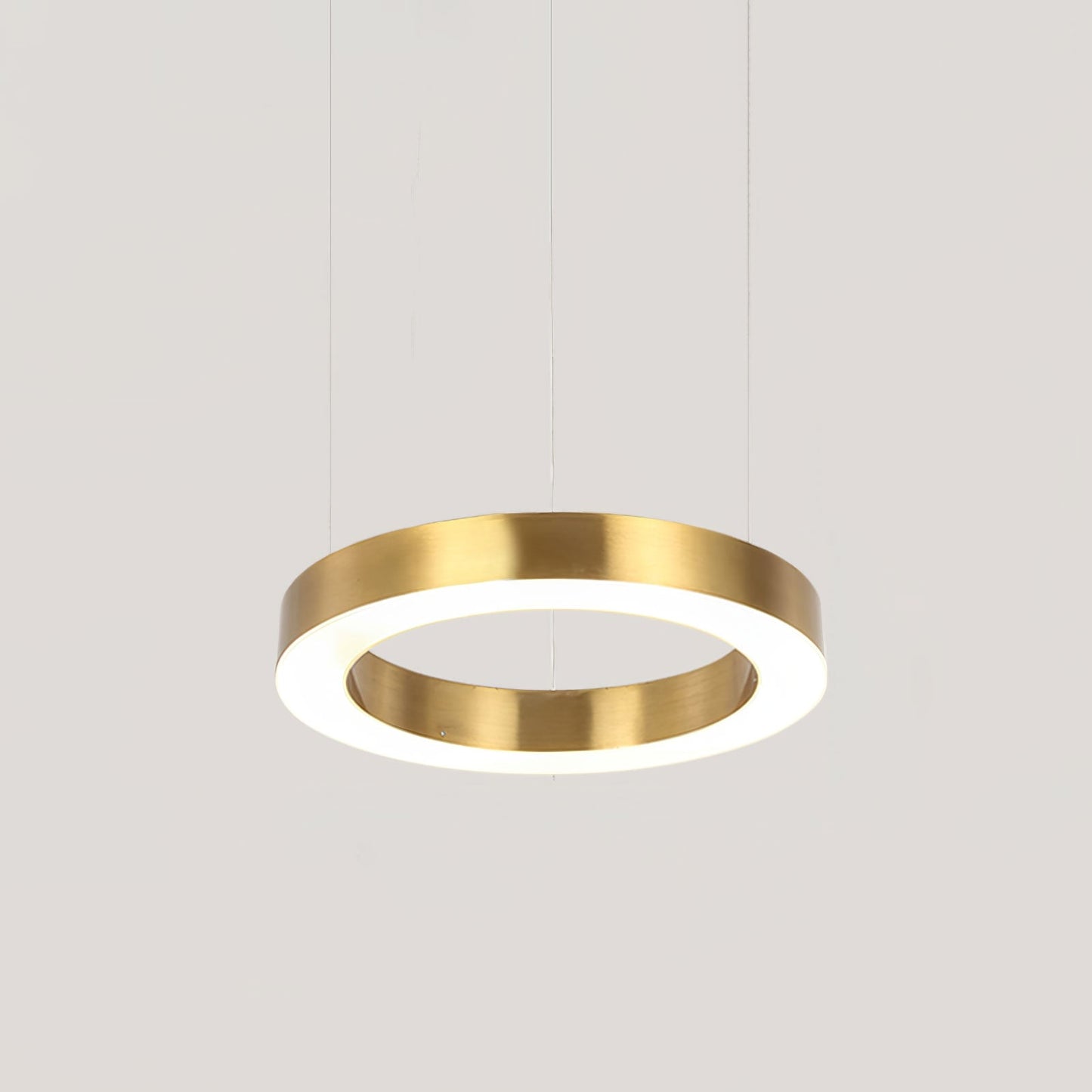 Ring LED Ceiling light fitting Pendant Light