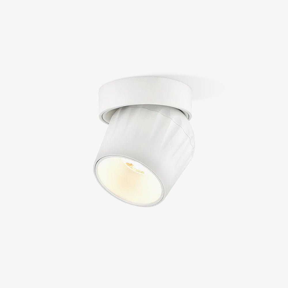 Rotatable Ceiling light Spotlight