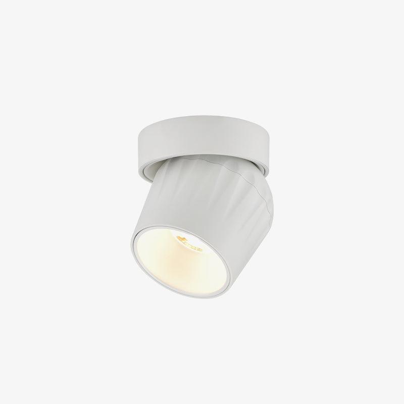 Rotatable Ceiling light Spotlight