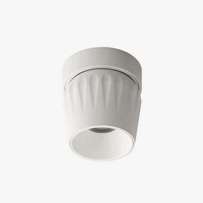 Rotatable Ceiling light Spotlight