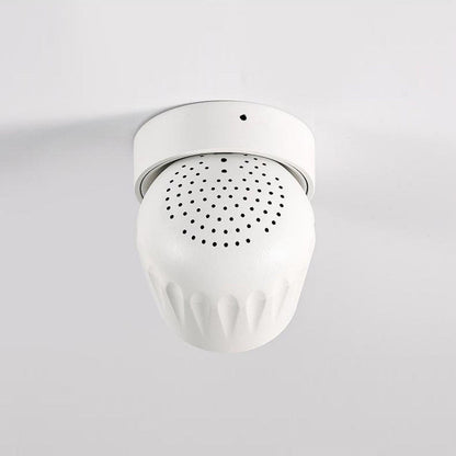 Rotatable Ceiling light Spotlight