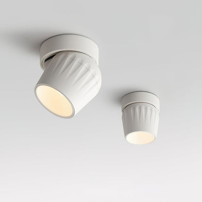 Rotatable Ceiling light Spotlight