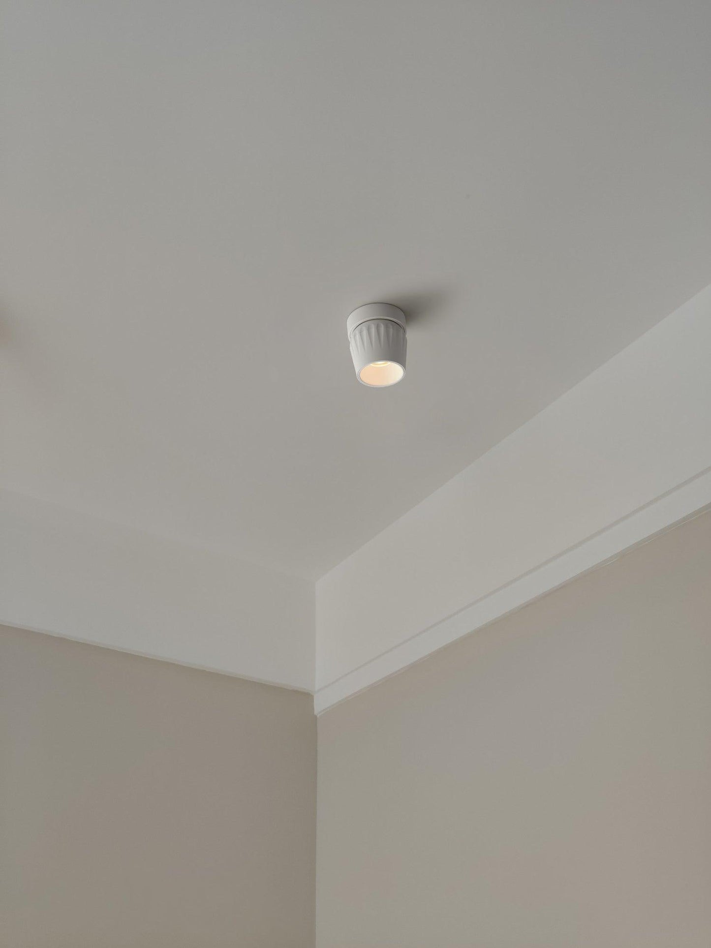 Rotatable Ceiling light Spotlight