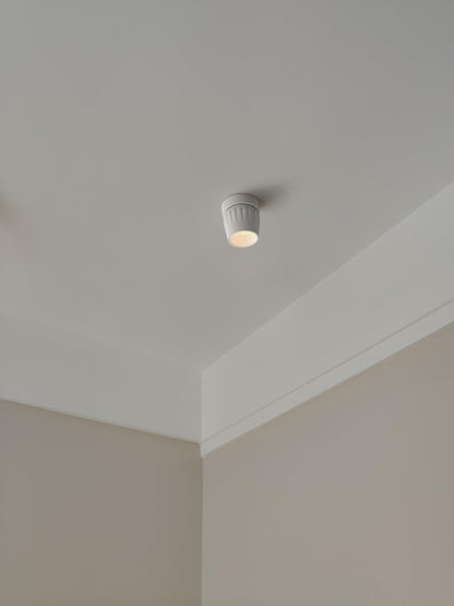 Rotatable Ceiling light Spotlight