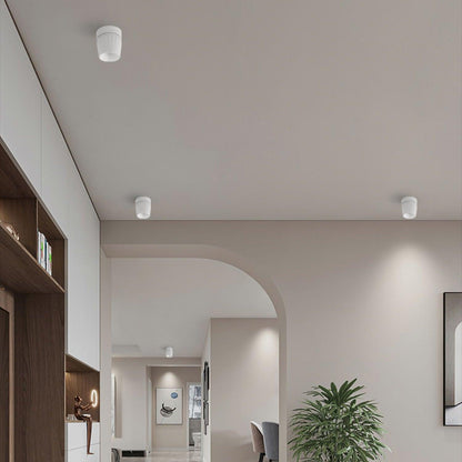 Rotatable Ceiling light Spotlight