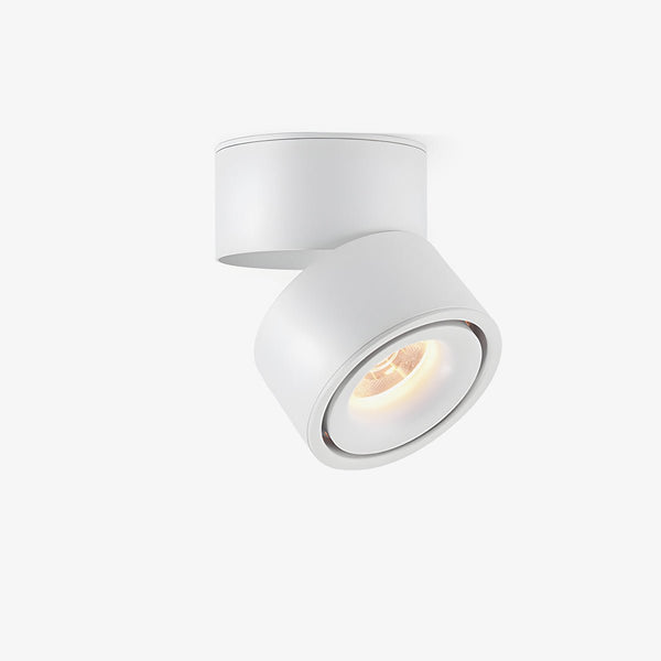 Rotatable Spotlight Overhead light Ceiling Light