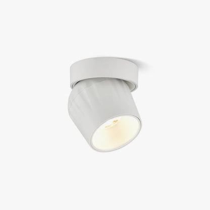 Rotatable Ceiling light Spotlight